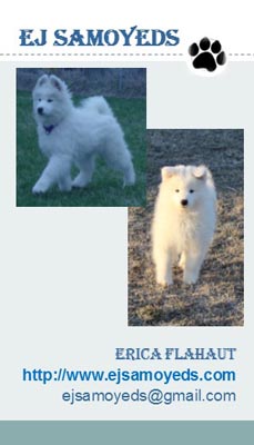 Business card for EJ Samoyeds