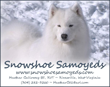 logo for Snowshoe Samoyeds