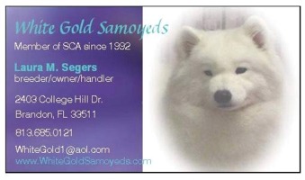 business card for White Gold Samoyeds
