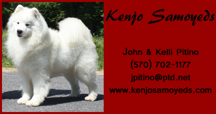 business card for Kenjo Samoyeds