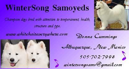 Business card for Wintersong Samoyeds