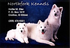 Business card for Northfork Samoyeds